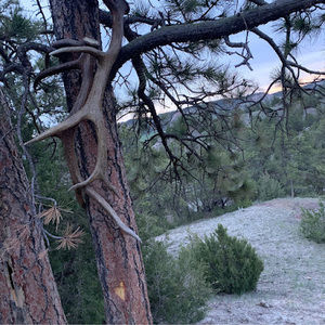 Meet your Posher, Dylan